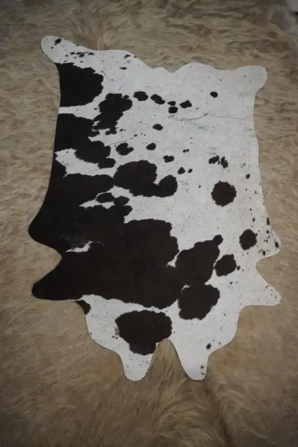 Beautiful in Black & White - A MINI Hide -