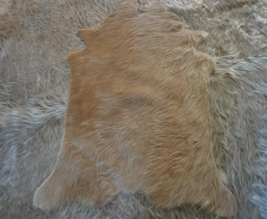 A Gorgeous Golden Wave - A Beautiful Mini Cowhide Rug