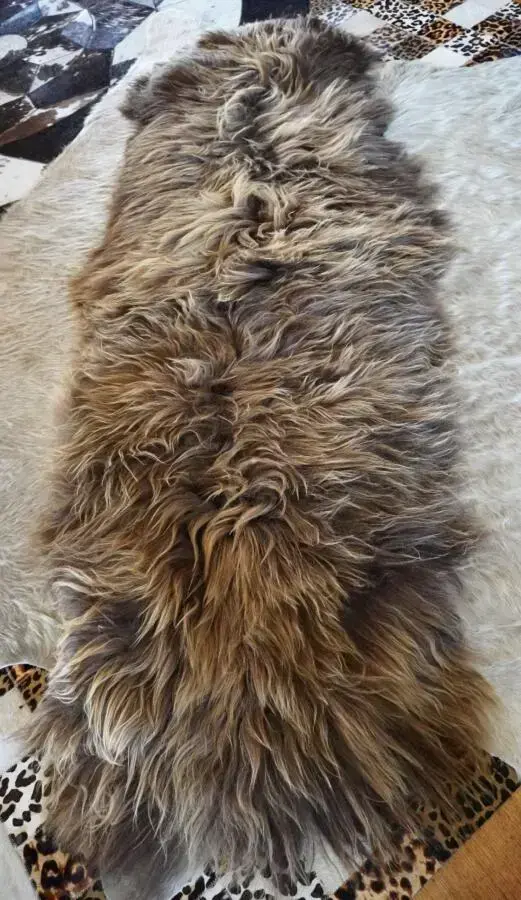 Beautiful Double Length Icelandic Sheepskin Rug