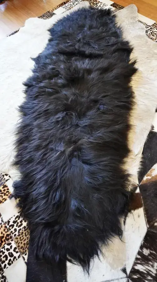 Black and Beautiful. - A Natural Black Double Length Icelandic Sheepskin Rug