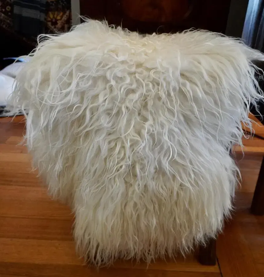 A Naturally Curly Naturally Soft White Long Wool Icelandic Sheepskin Rug