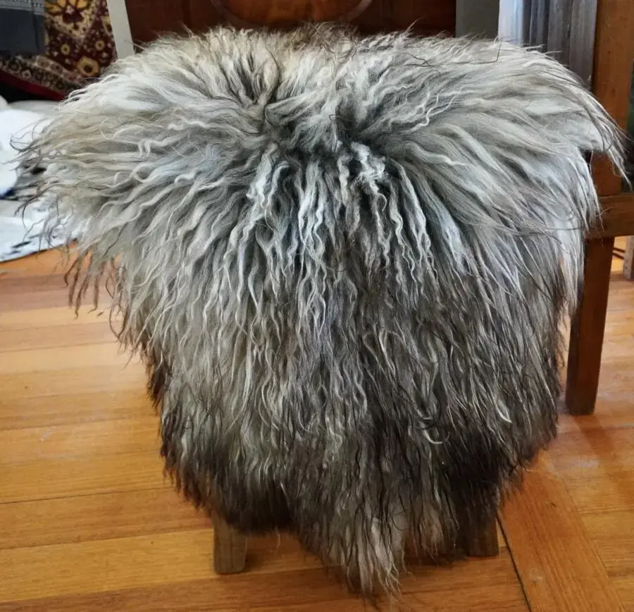 Wild and Wonderful - A Beautiful Naturally Curly Icelandic Sheepskin Rug
