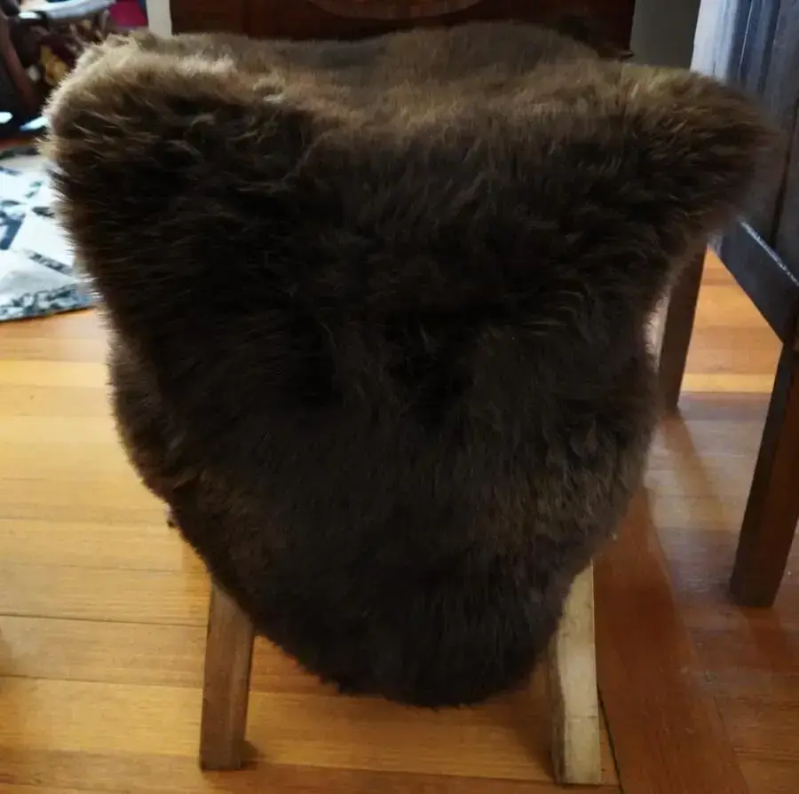Stunning Shades of Brown Swiss Mountain Sheep Sheepskin Rug