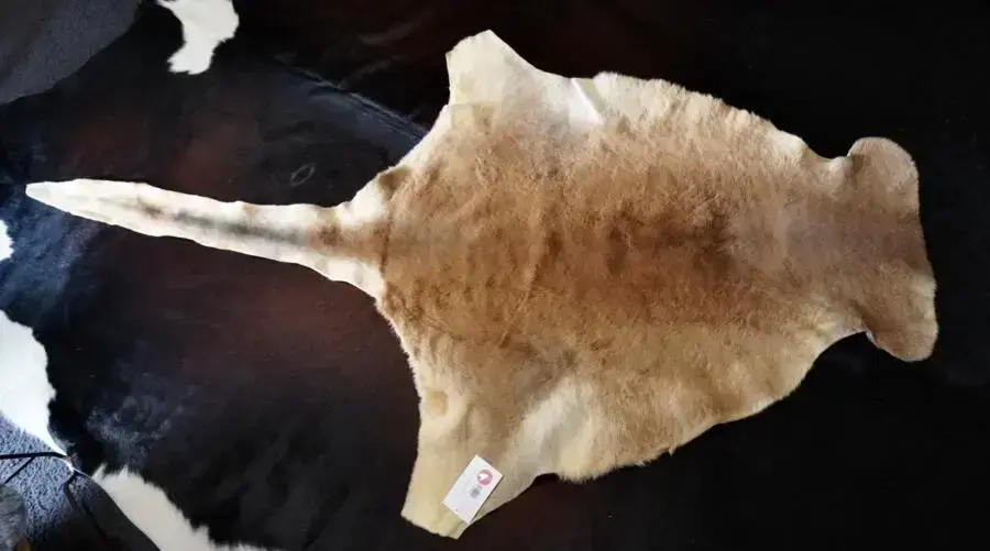A Stunning Natural Kangaroo Skin Rug