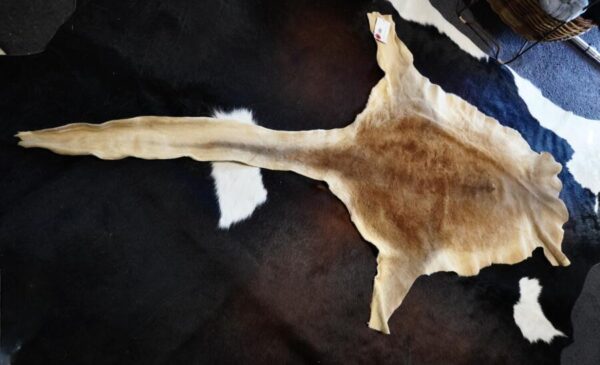 Kangaroo Hide Rug Natural & Beautiful - A Kangaroo Skin Rug
