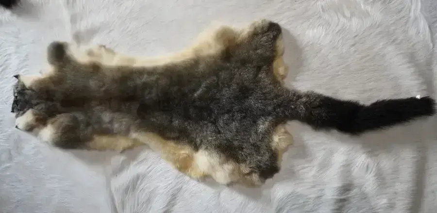 Amazingly Soft - A Beautiful Tasmanian Possum Pelt