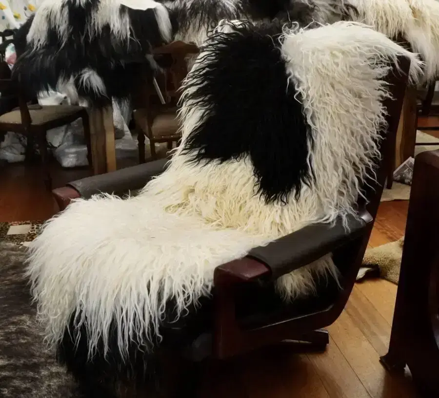 Black & White & Naturally Curly - A Beautiful Icelandic Sheepskin Rug