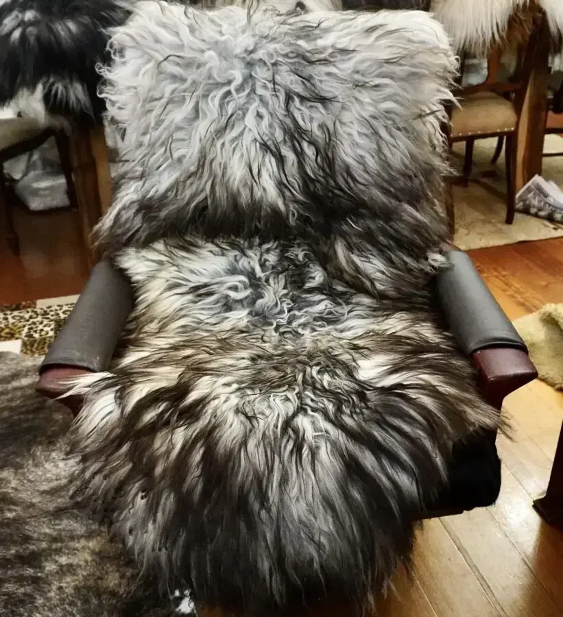 Gorgeous Grey Toned Curls - An Extremely Beautiful Icelandic Sheepskin Rug