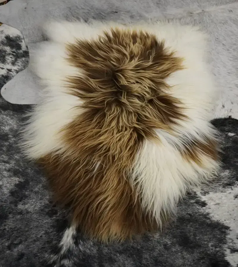 Sun Kissed Brown on White - A Stunning Icelandic Sheepskin Rug
