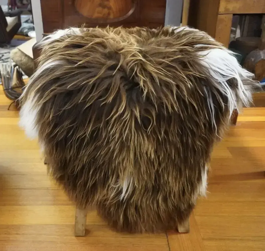A Totally Divine Sun Kissed Long Wool Icelandic Sheepskin Rug