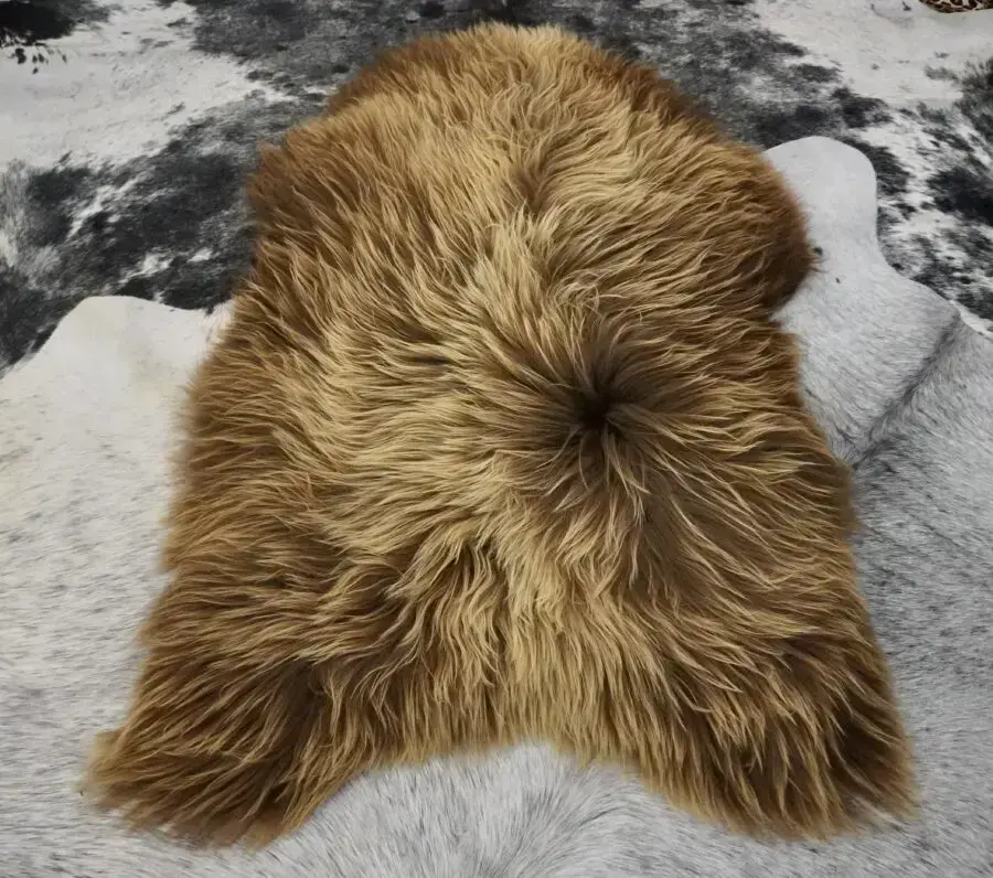 A Natural Sunburst - A Beautiful Icelandic Sheepskin Rug