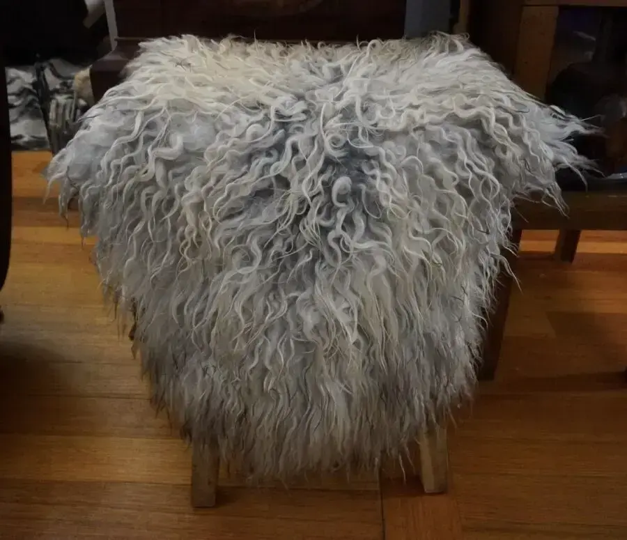 Soft Natural Tones - A Gentle Curly Long Wool Icelandic Sheepskin Rug