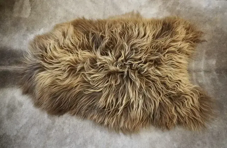 A Beautiful Accessory