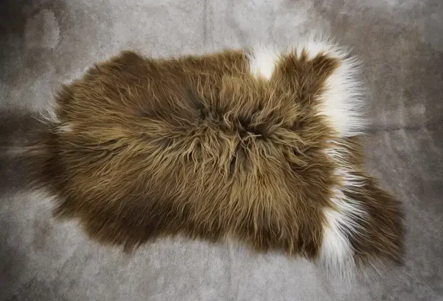 Brown & White - An Icelandic Sheepskin Rug