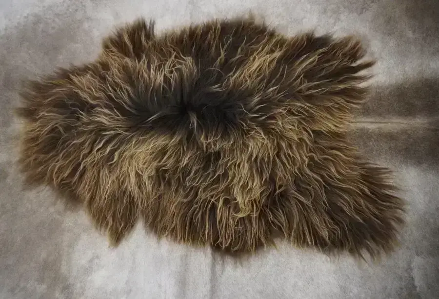 From the Coldest Regions of the World
