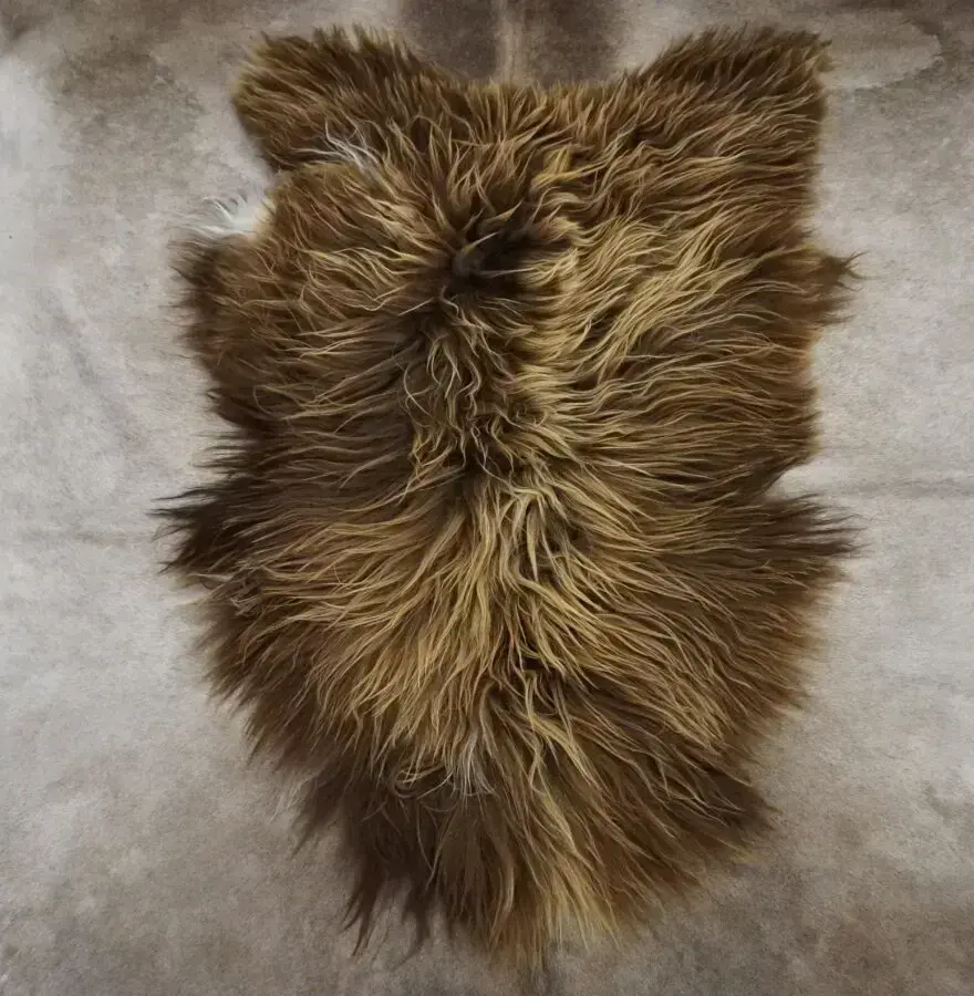 Touched with White. - A Golden Brown Long Wool Icelandic Sheepskin Rug