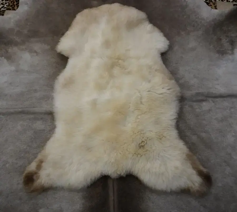 Unique & Beautiful - An Ancient Breed Irish Sheepskin Rug