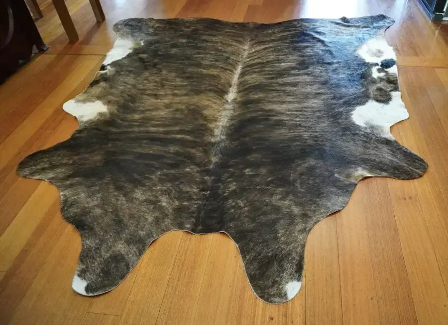 A Brahmin Cross - A Stunning Hide