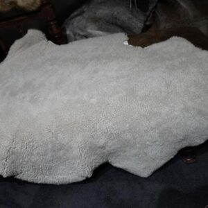 The Palest of Greys - The Softest of Leathers