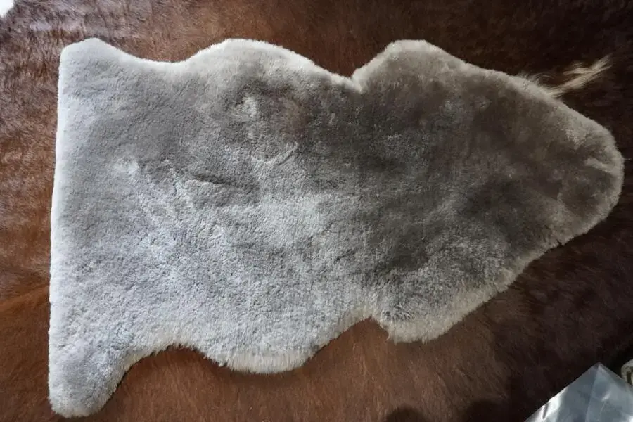 With A Texture like thick Velvet- A Stunning Trimmed Australian Sheepskin Rug