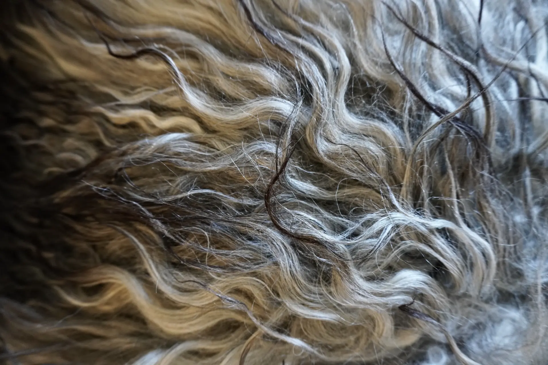 Cascades of Curls - Luxurious Natural Decor - Image 11