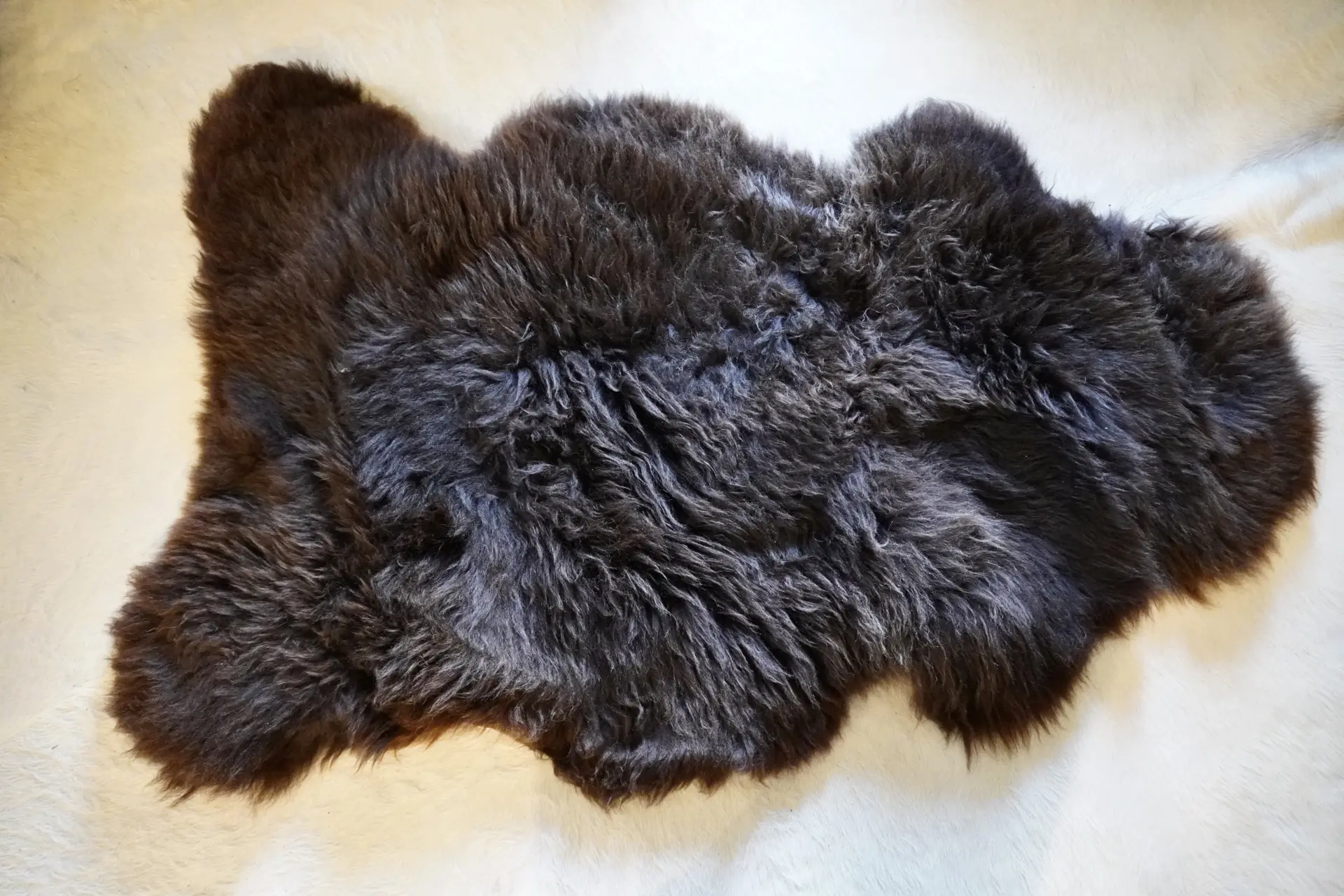Swiss Mountain Brown - A Stunning Natural Sheepskin Rug - Image 8