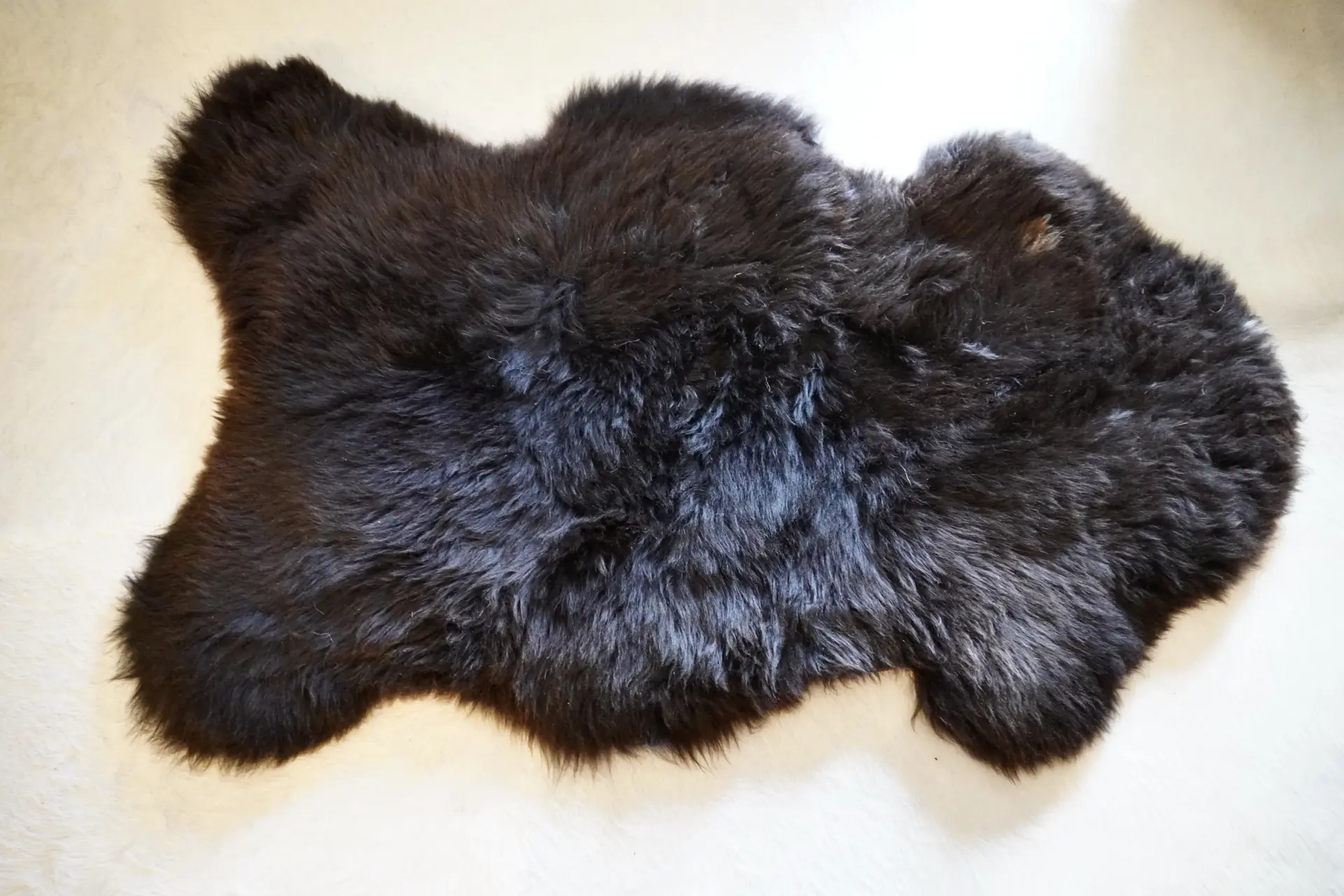 A Beautiful European Sourced Swiss Mountain Sheepskin Rug - Image 8