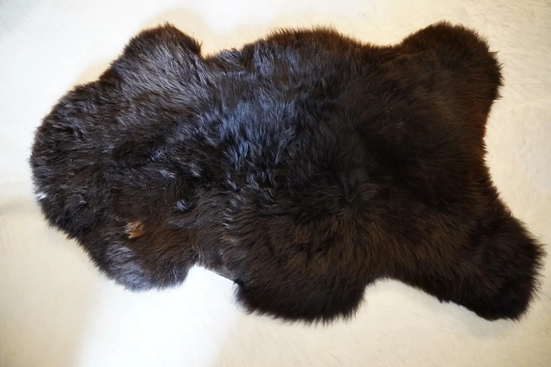 A Beautiful European Sourced Swiss Mountain Sheepskin Rug - Image 3