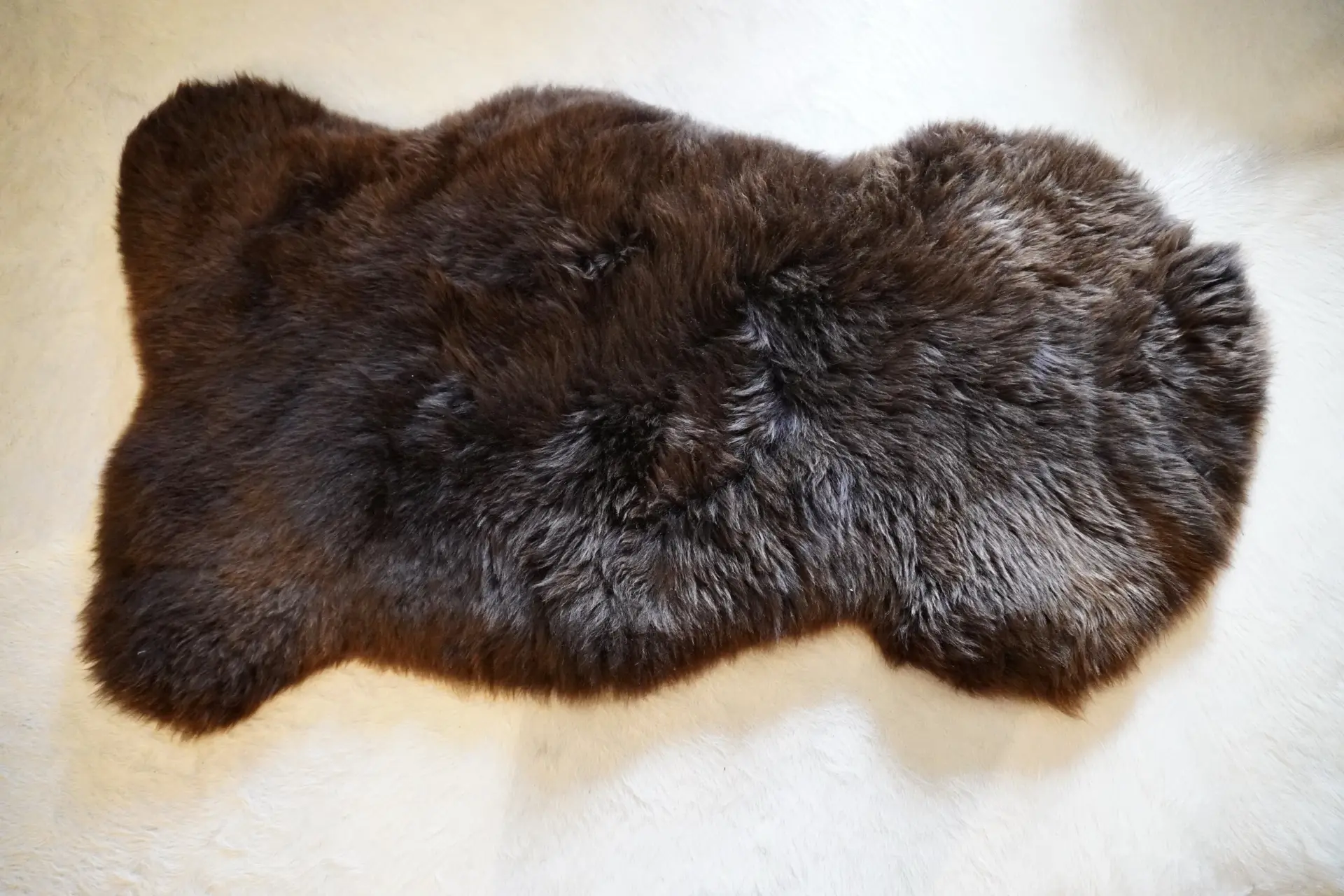 A Rare Breed Swiss Mountain Sheepskin Rug - Image 7