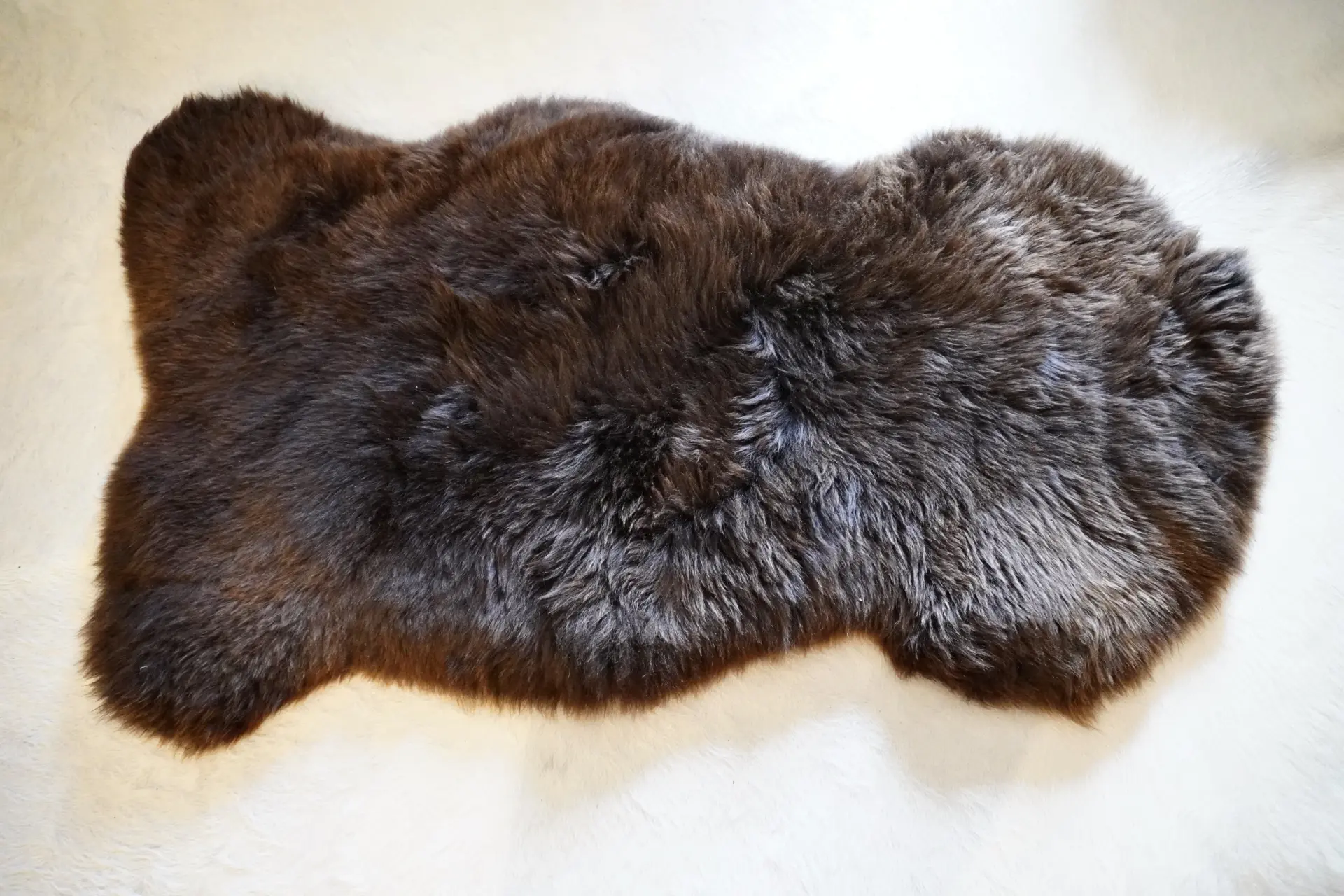 A Rare Breed Swiss Mountain Sheepskin Rug - Image 8