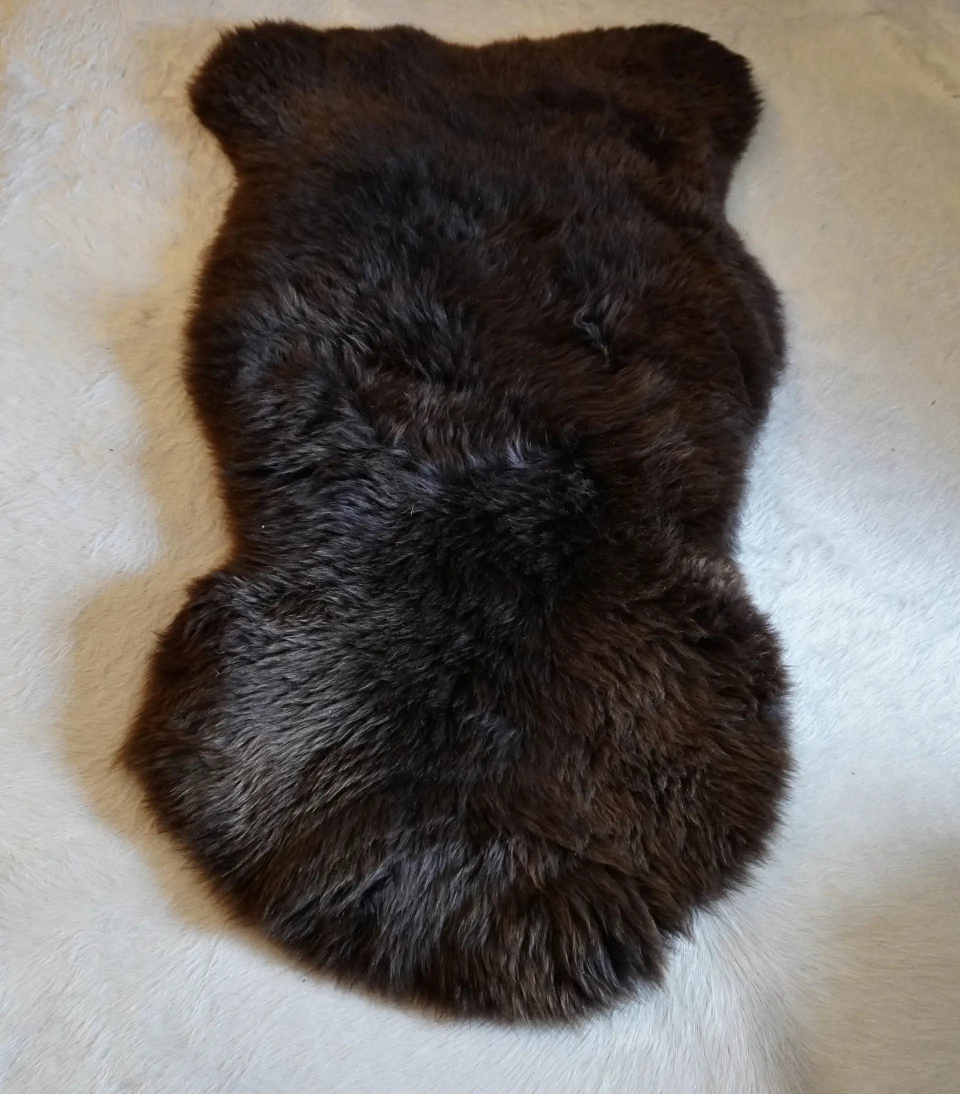 A Rare Breed Swiss Mountain Sheepskin Rug - Image 2