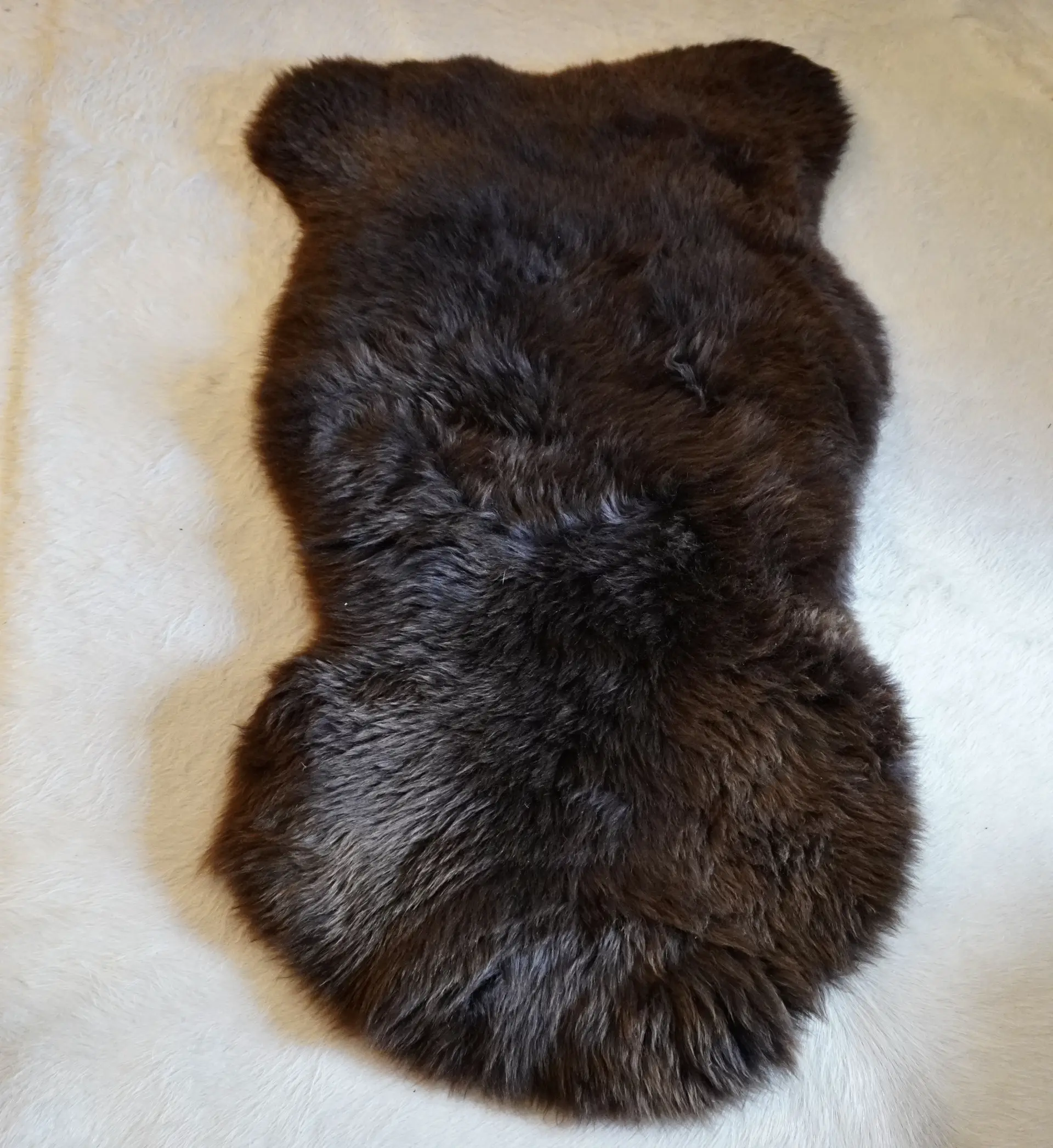 A Rare Breed Swiss Mountain Sheepskin Rug