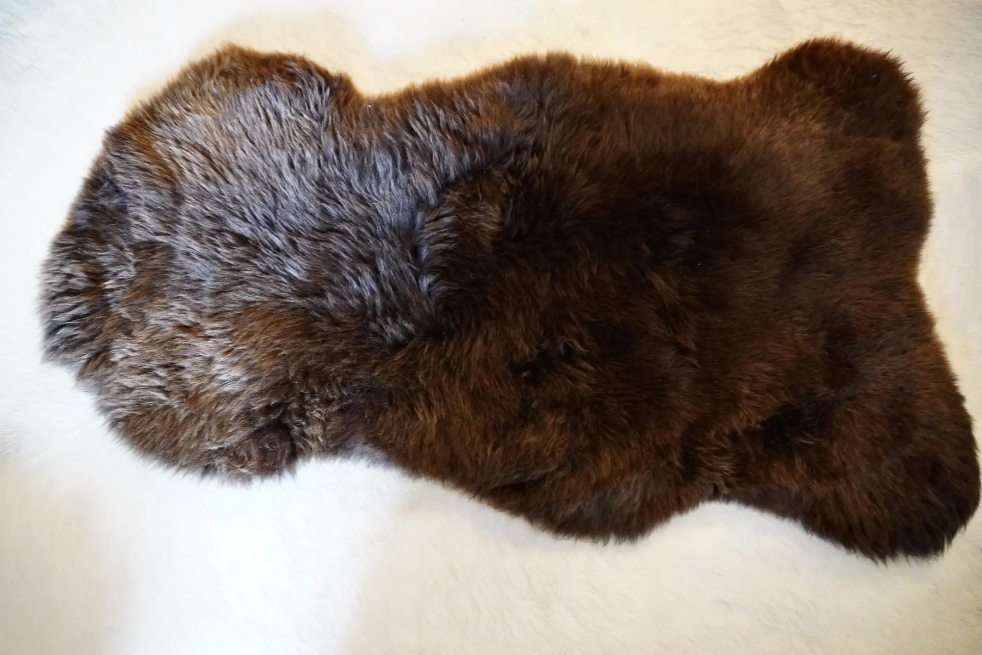 A Rare Breed Swiss Mountain Sheepskin Rug - Image 3