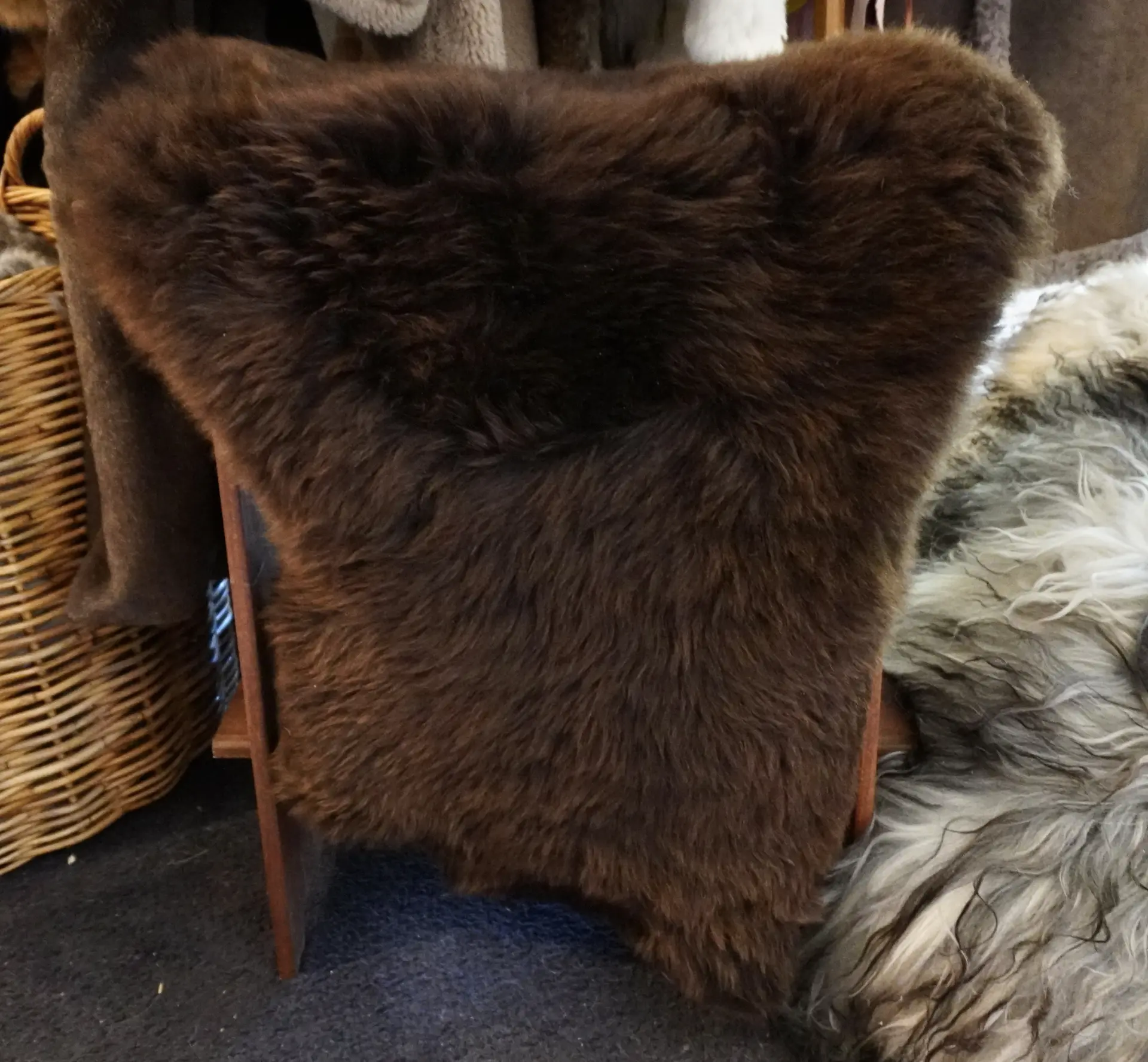 A Rare Breed Swiss Mountain Sheepskin Rug - Image 4
